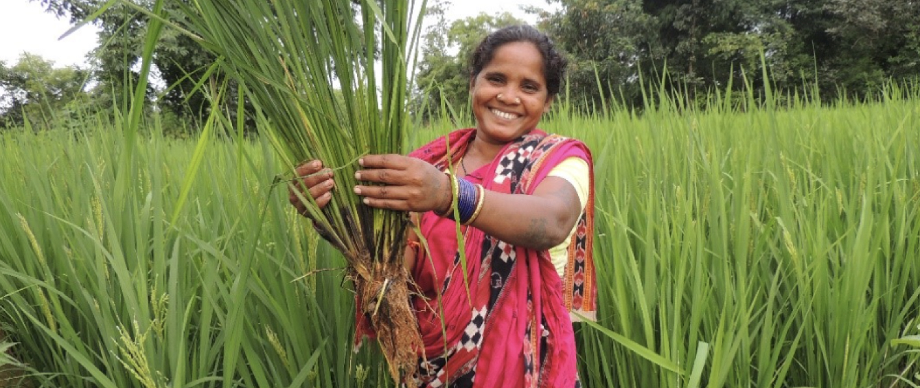 Sir H. N. Reliance Foundation Hospital